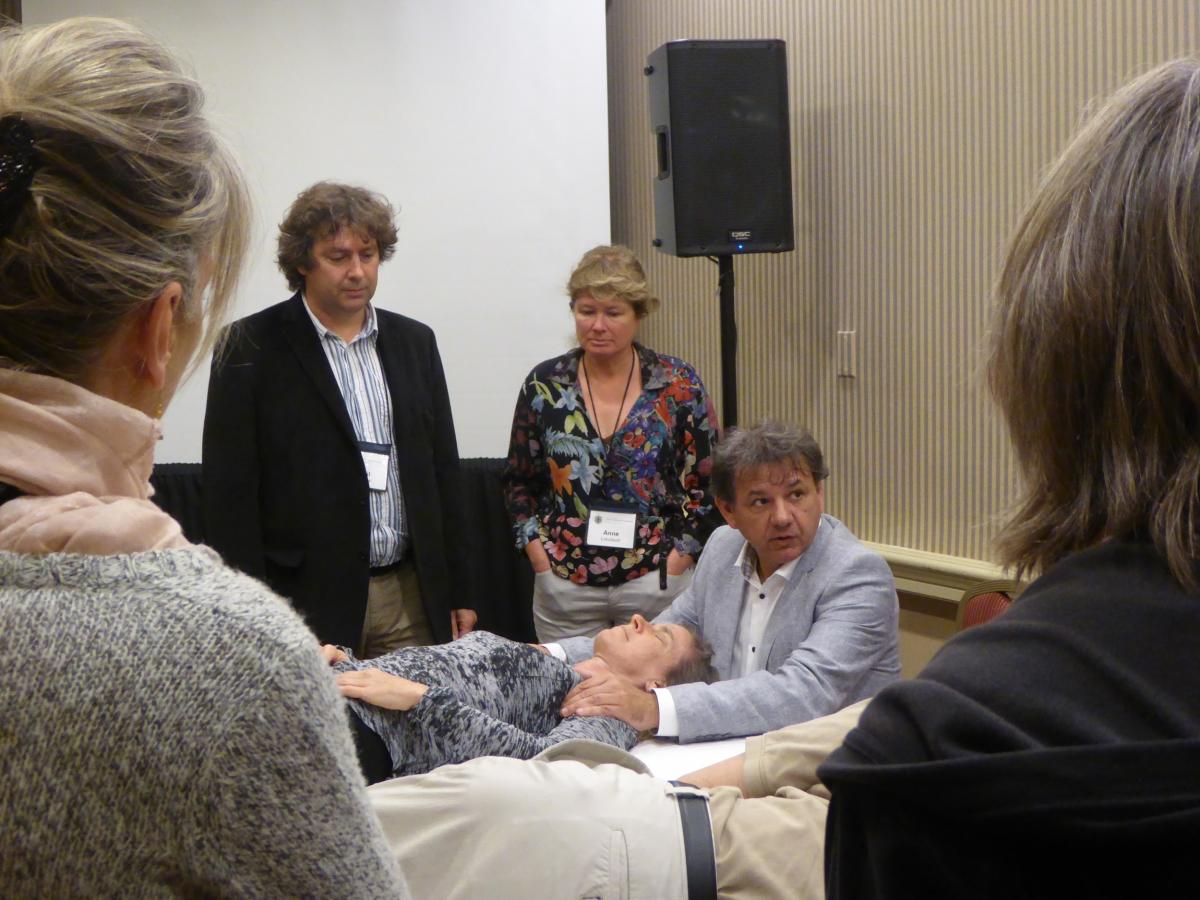 fasciatherapie MDB workshop post-congres FRC2015.jpg