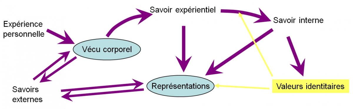 Figure 1 : Schématisation du processus de transformation du statut du savoir "intellectuel"