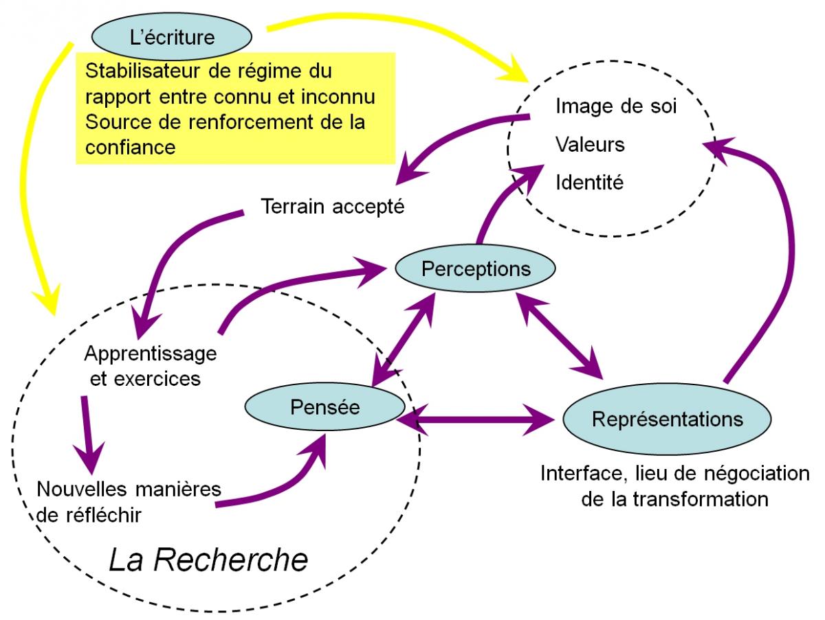 Figure 2 : Schématisation des rapports du système pensée-représentation-perception de la personne, à ses propres dynamiques identitaires et aux dynamiques cognitives mobilisées par la recherche scientifique