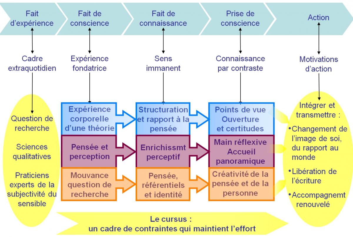 Figure 3 : Schématisation du processus de transformation de la pensée à la lumière du modèle de la modifiabilité perceptivo-cognitive de Bois (2007)